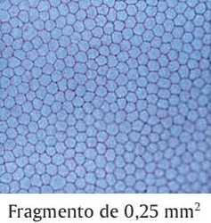 Questão 1