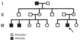 Questão 1