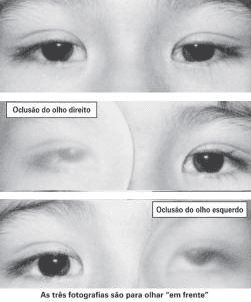 Questão 1