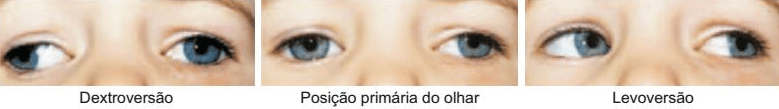Questão 1