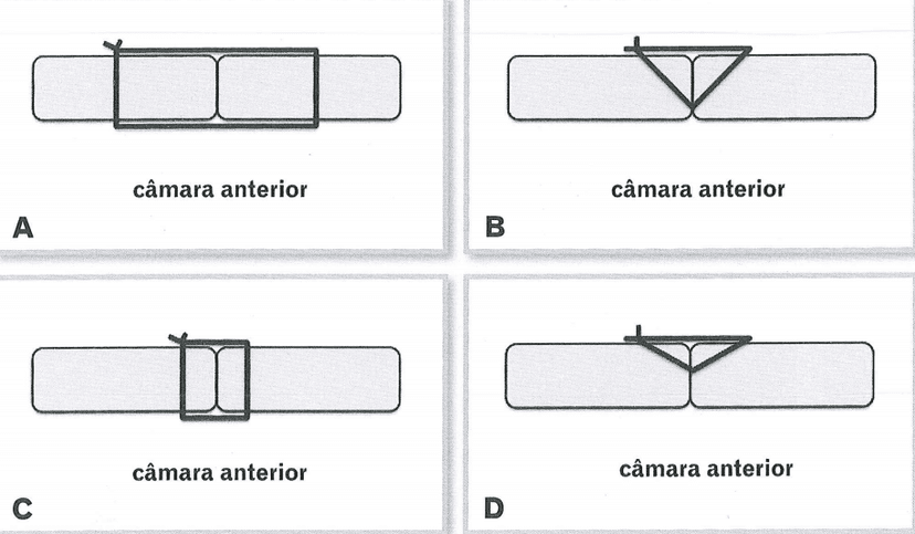 Questão 1