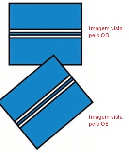 Questão 1
