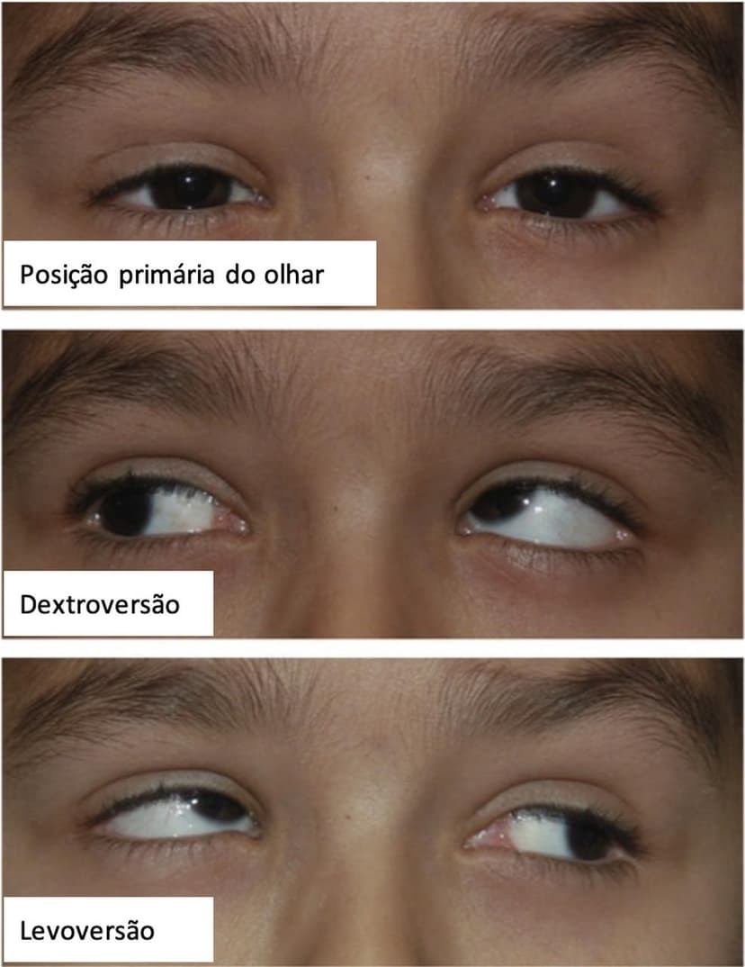 Questão 1