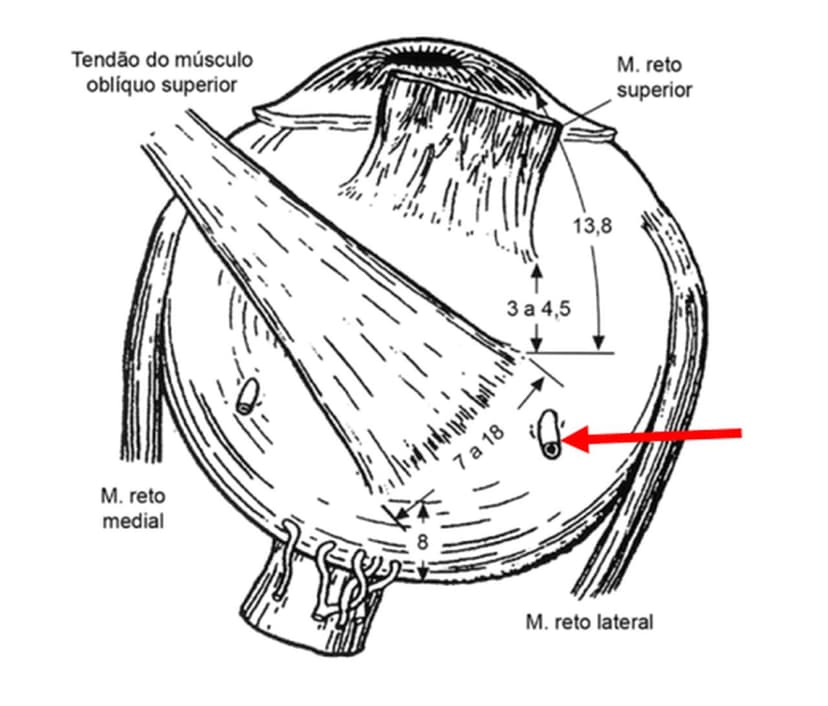 Questão 1